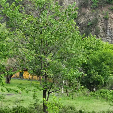 Lika Pensión Shkoze (Shkoder)